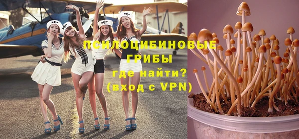 тгк Абаза