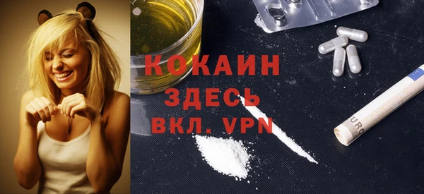 тгк Абаза