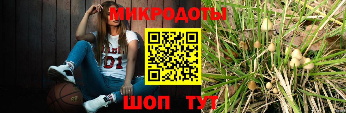 Донской  Галлюциногенные грибы прущие грибы  Вход с VPN  Галлюциногенные грибы GOLDEN TEACHER 
