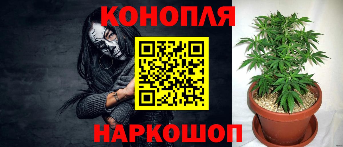 Бошки Шишки VHQ  Вход с VPN  Донской  Бошки марихуана OG Kush 